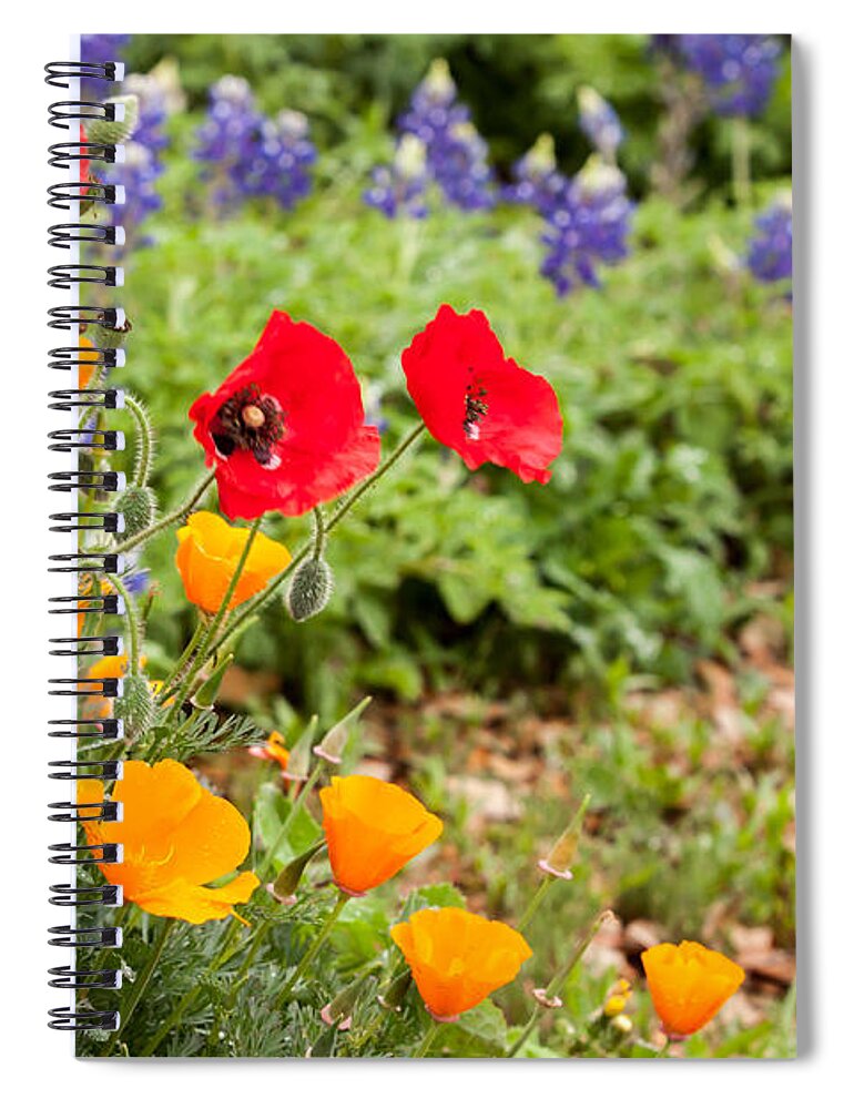 Bluebonnets Spiral Notebook featuring the photograph Colors of Spring by Melinda Ledsome