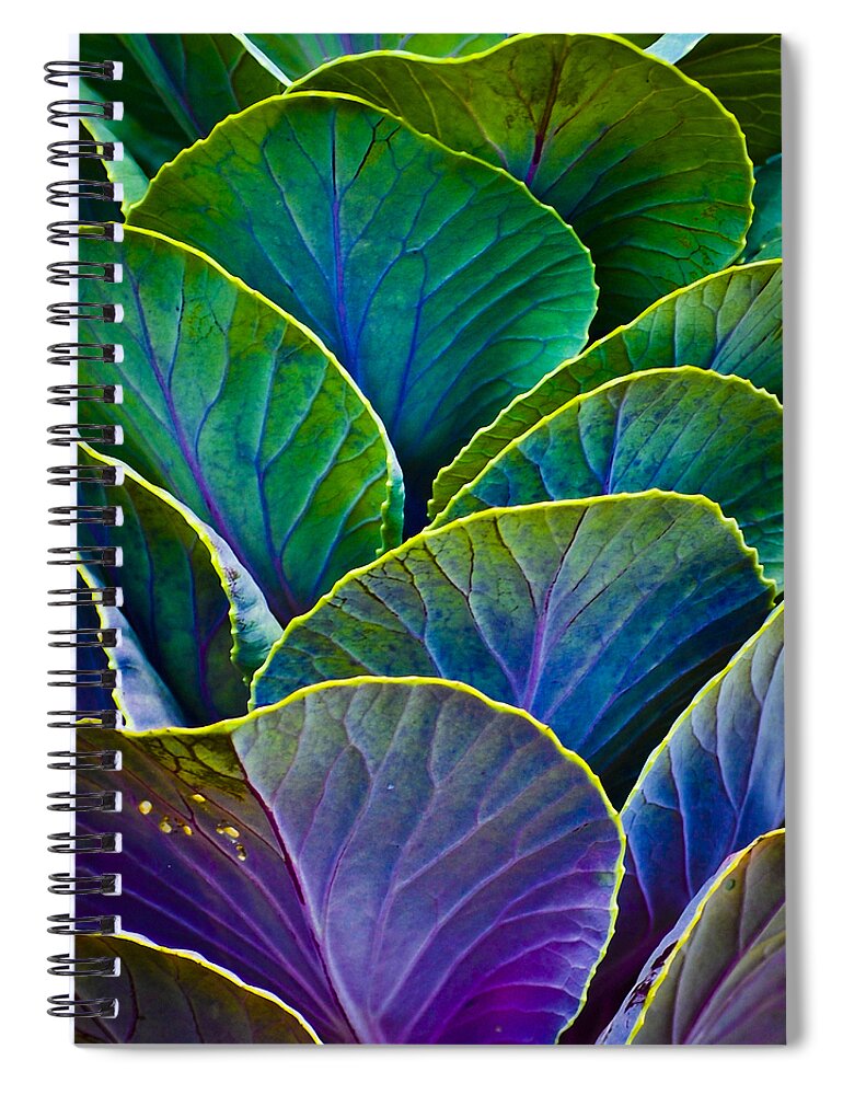 Organic Spiral Notebook featuring the photograph Colors of the Cabbage Patch by Christi Kraft