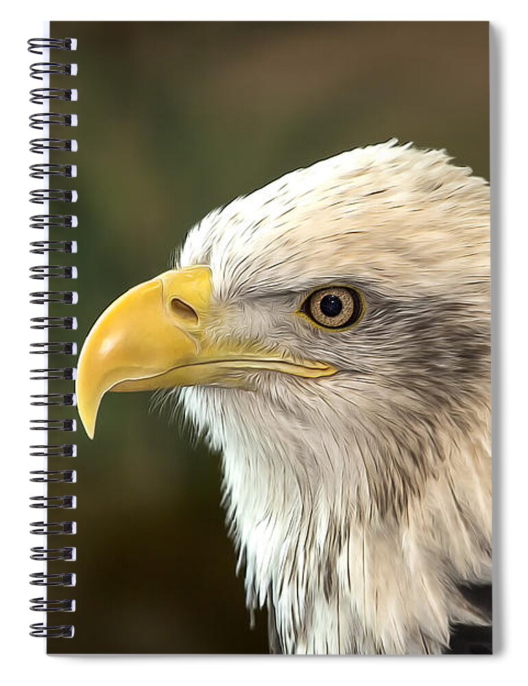 Eagle Spiral Notebook featuring the photograph Columbia - Bald Eagle by Bill and Linda Tiepelman