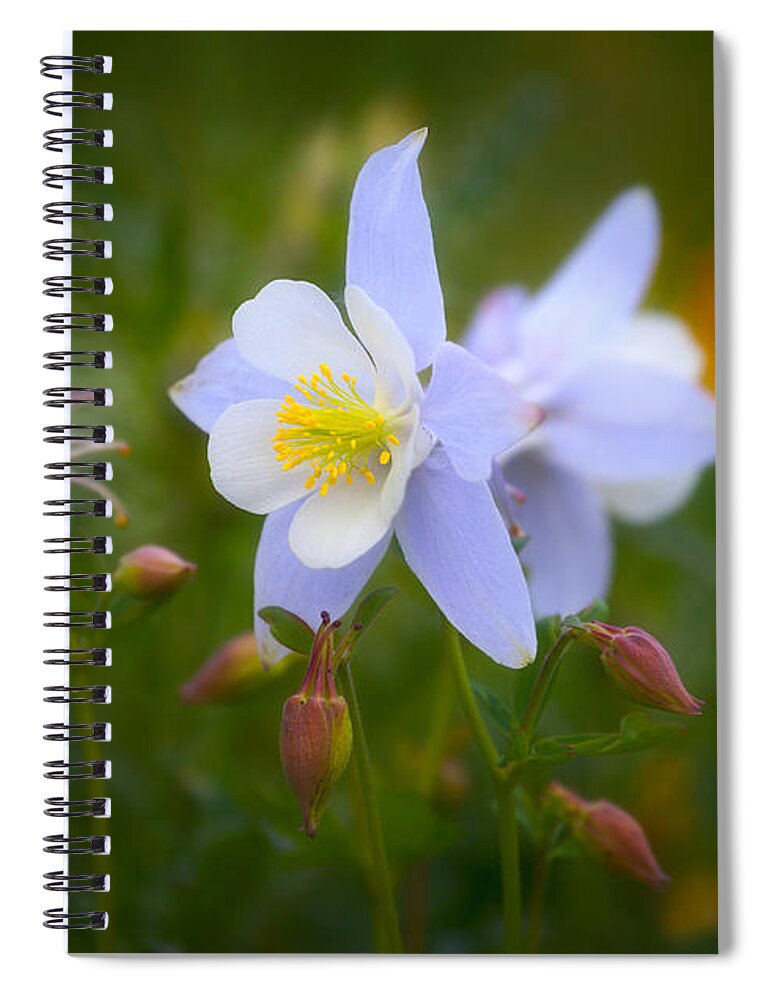 Columbine Spiral Notebook featuring the photograph Columbine by Darren White