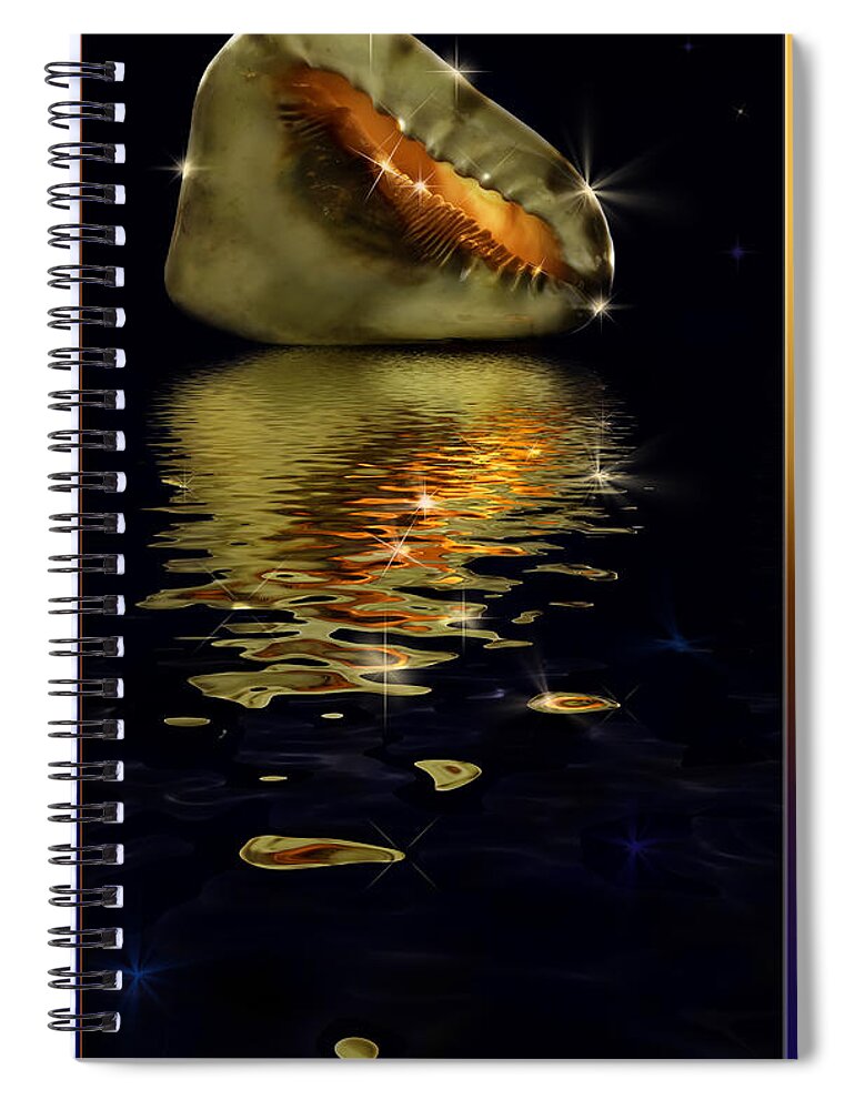 Conch Spiral Notebook featuring the photograph Conch sparkling with reflection by Peter V Quenter