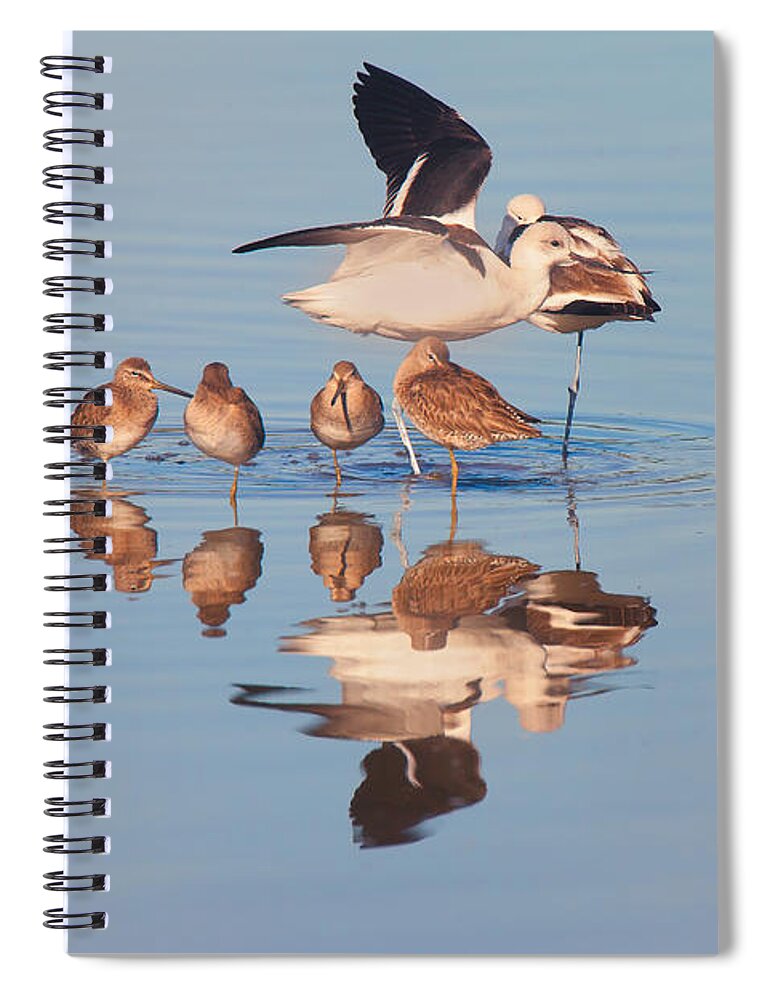 Shore Birds Spiral Notebook featuring the photograph Shore Birds Congregation by Ram Vasudev