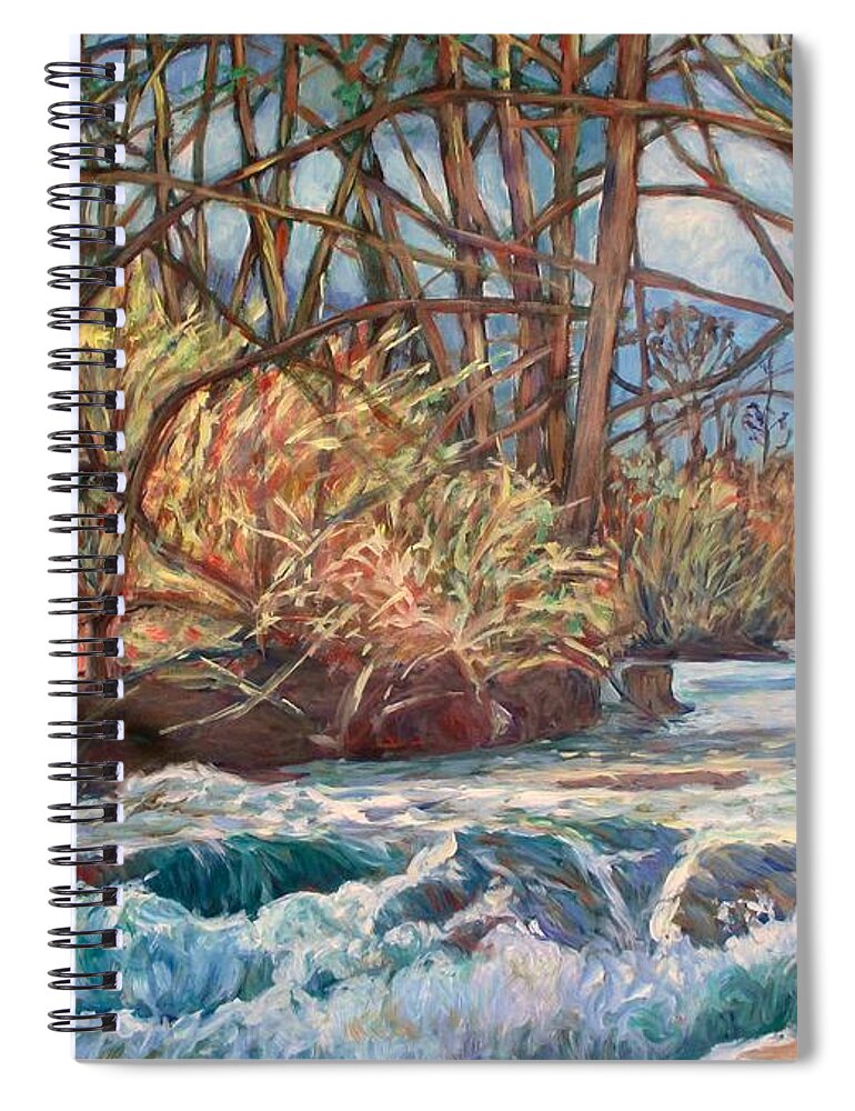 Connellys Run Spiral Notebook featuring the painting Connellys Run by Kendall Kessler
