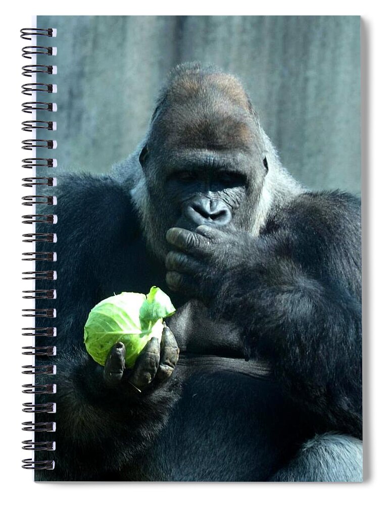 Contemplation Spiral Notebook featuring the photograph Contemplation by Maria Urso