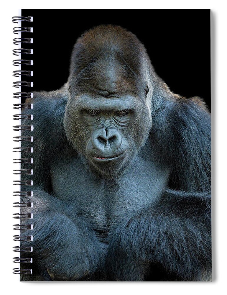 Animal Themes Spiral Notebook featuring the photograph Contemplative Gorilla by Dean Fikar