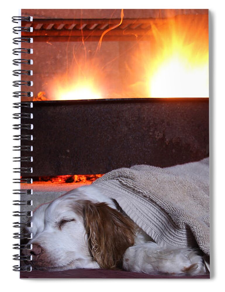 Contentment Spiral Notebook featuring the photograph Contentment by Jemmy Archer