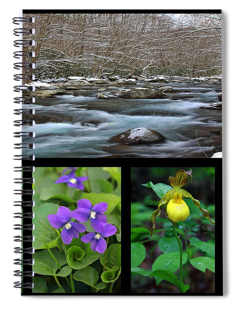 Winter Spiral Notebook featuring the photograph Contrasting Seasons by Shari Jardina
