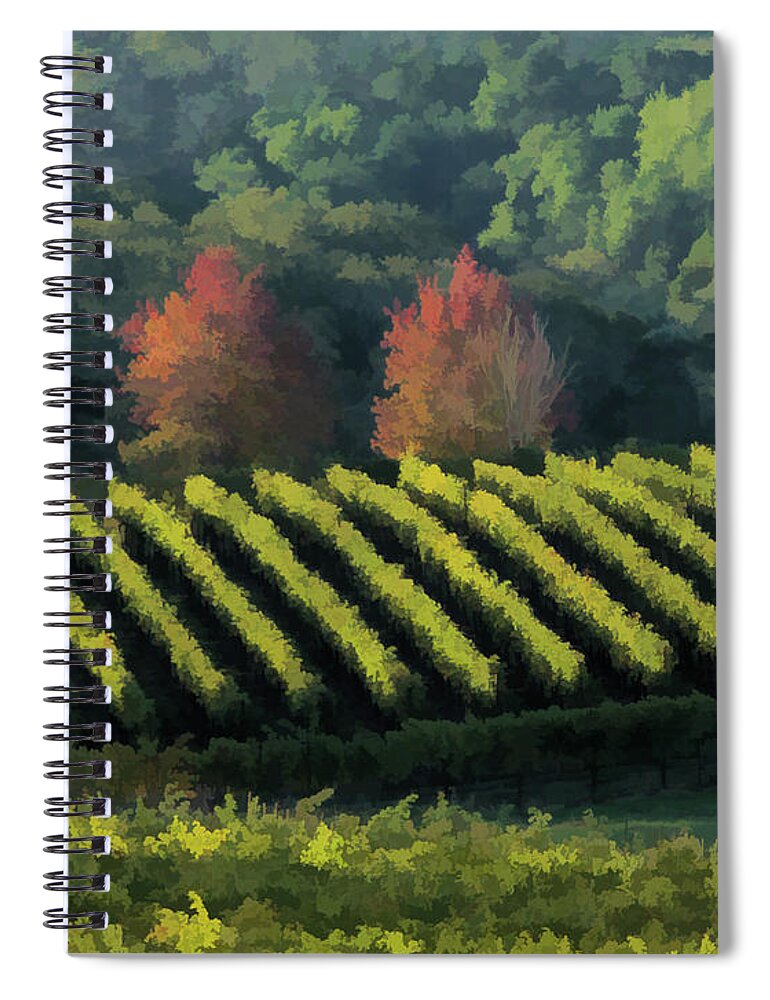 Landscape Spiral Notebook featuring the photograph Coombsville Vineyard by Ann Nunziata