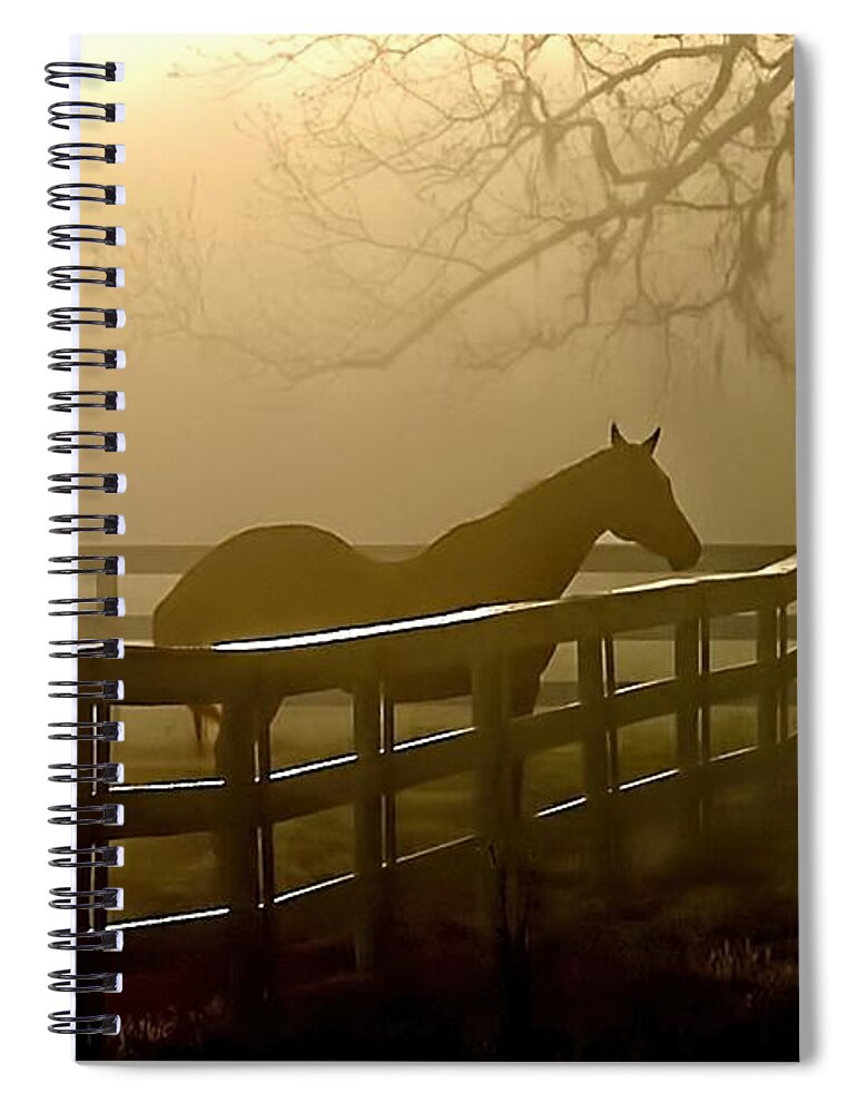 Horse Spiral Notebook featuring the photograph Coosaw Early Morning Mist by Scott Hansen