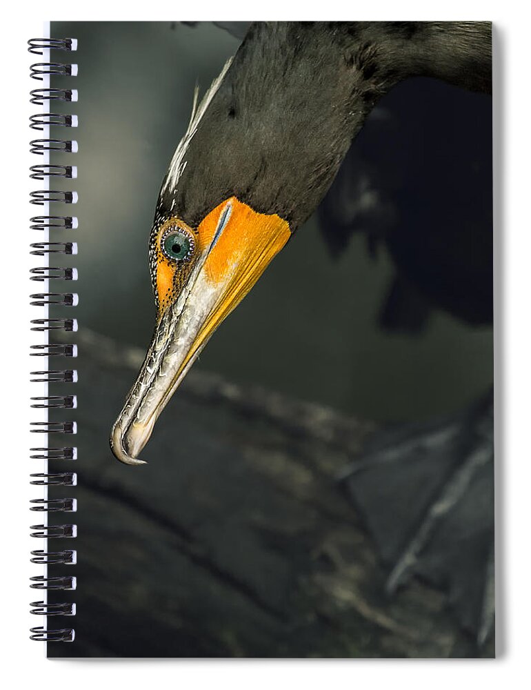 Wildlife Spiral Notebook featuring the photograph Cormorant Peek by Bill and Linda Tiepelman