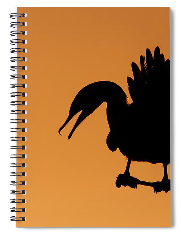 Cormorant Spiral Notebook featuring the photograph Cormorant Silhouette by Bryan Keil