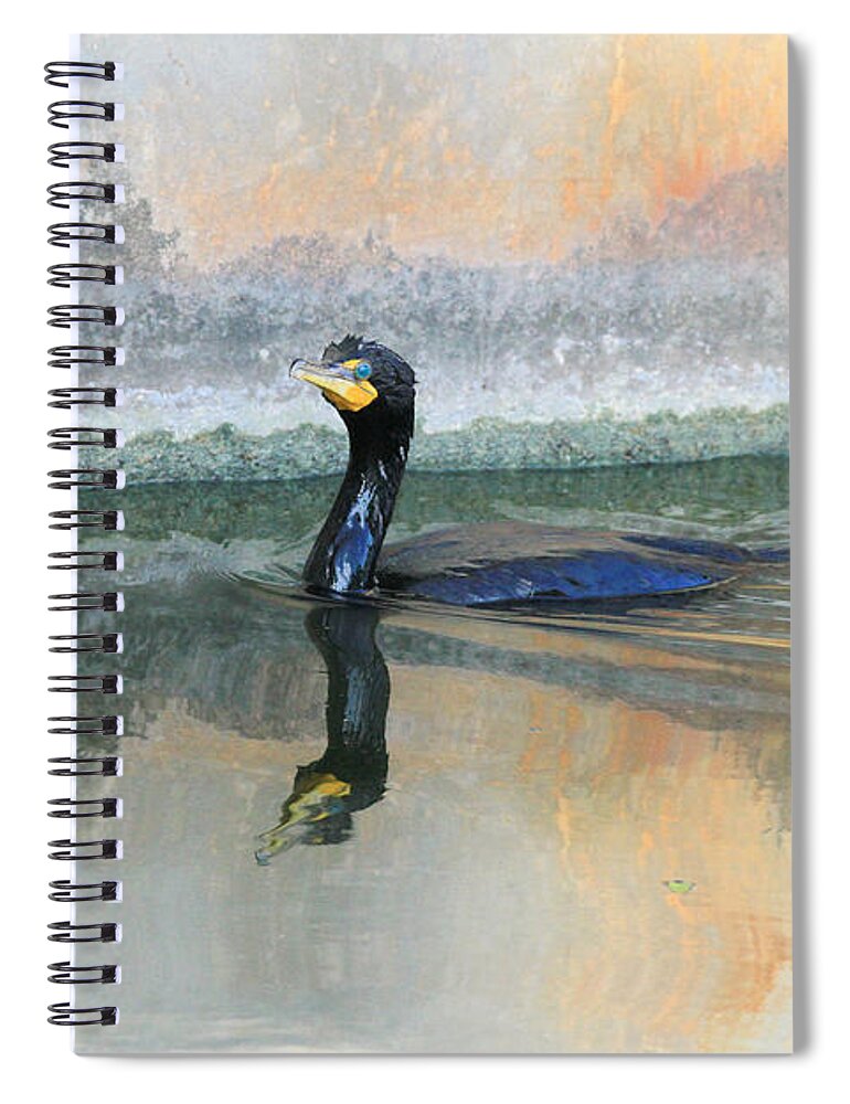 Cormorant Spiral Notebook featuring the photograph Cormorant Swim by Deborah Benoit