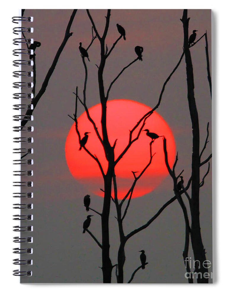 Sunrise Spiral Notebook featuring the photograph Cormorants at Sunrise by Roger Becker