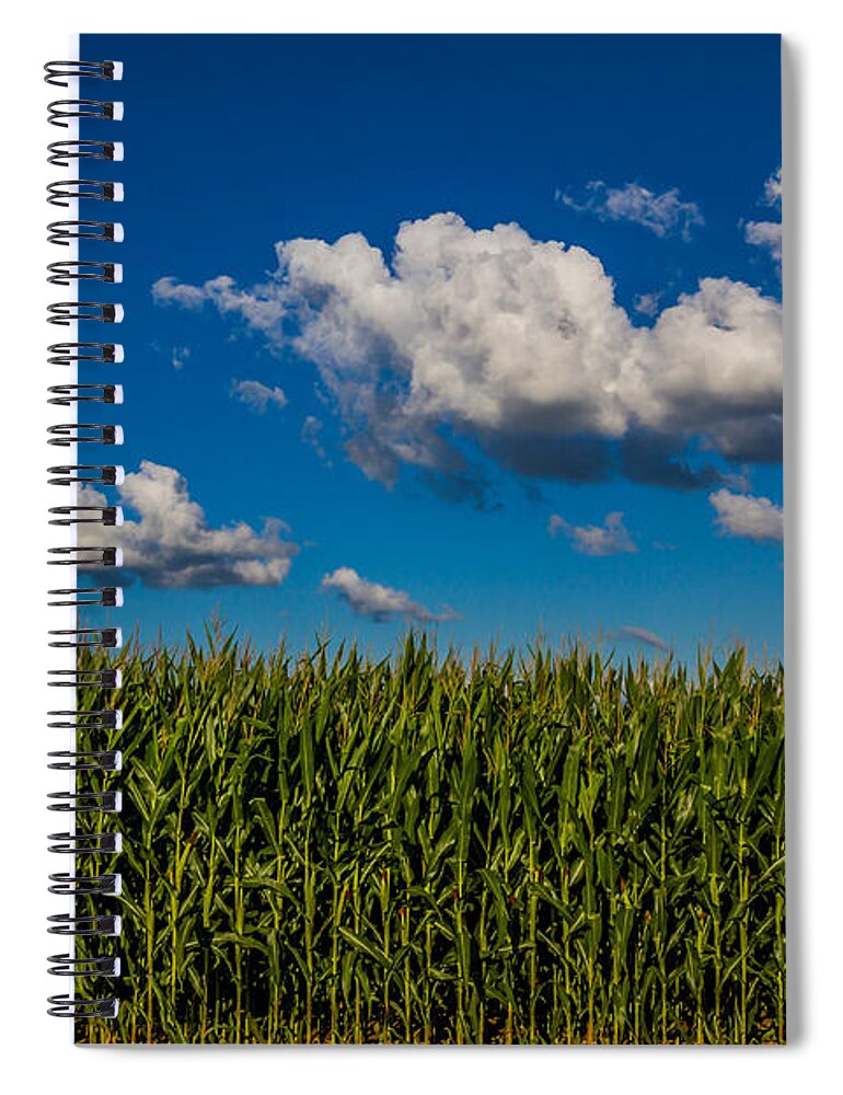 Indiana Spiral Notebook featuring the photograph Corn Field by Ron Pate