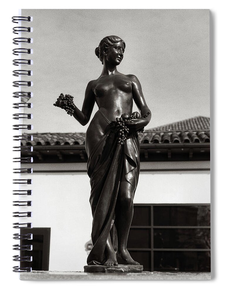 Minolta Camera Spiral Notebook featuring the photograph Country Club Plaza by Stephanie Hollingsworth