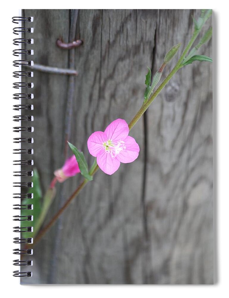 Flower Spiral Notebook featuring the photograph Country Flower by Amy Gallagher