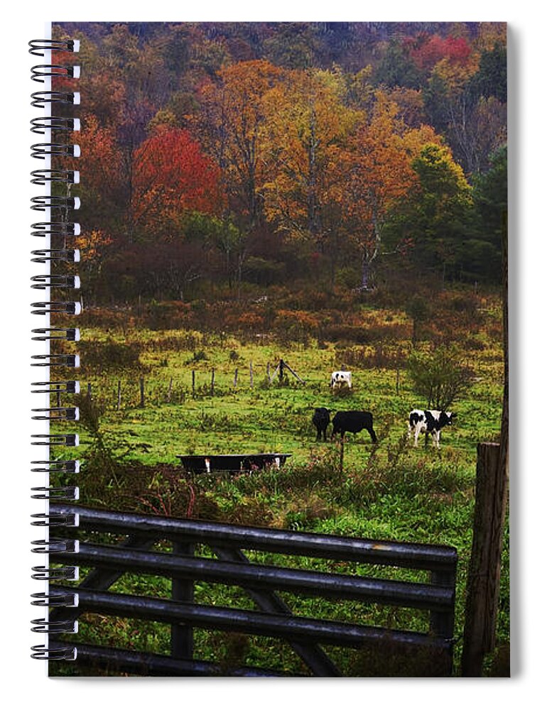 Cows Spiral Notebook featuring the photograph Cow Pasture in Autumn by Debra Fedchin