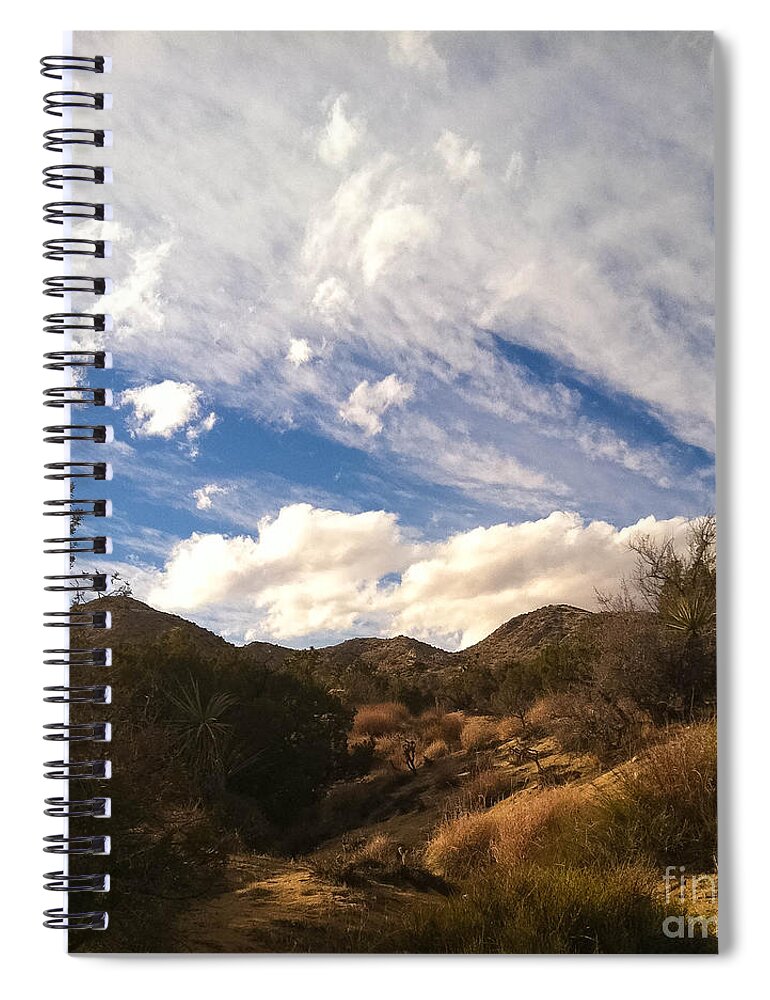 Angela J Wright Photography Spiral Notebook featuring the photograph Coyote Wash Dressed Up by Angela J Wright