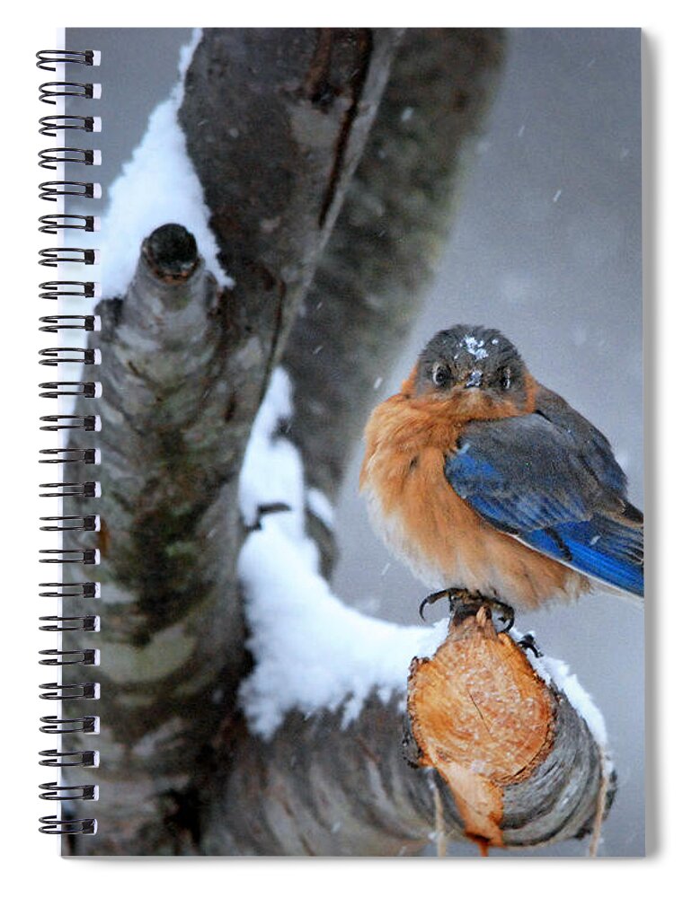 Nature Spiral Notebook featuring the photograph Cranky Can Be Cute by Nava Thompson