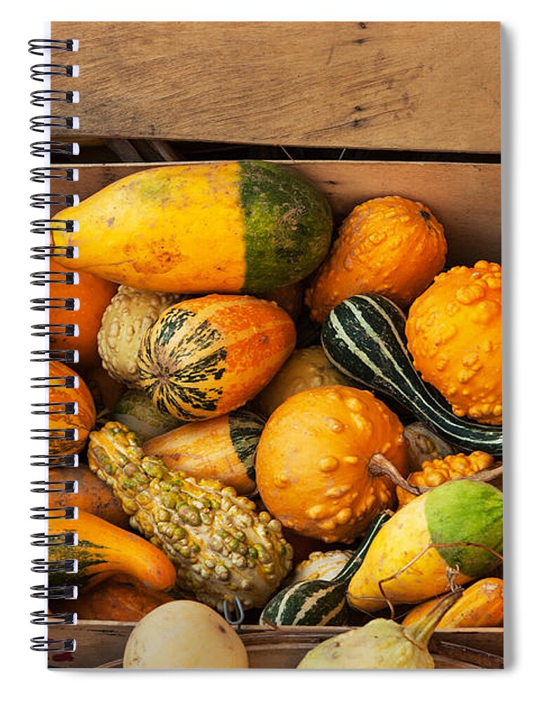 Crate filled with pumpkins and gourts Spiral Notebook by Iris 