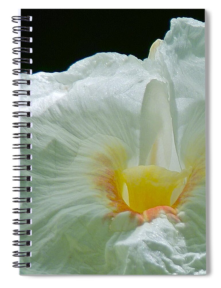 Crepe Ginger Spiral Notebook featuring the photograph Crepe Ginger by Jocelyn Kahawai