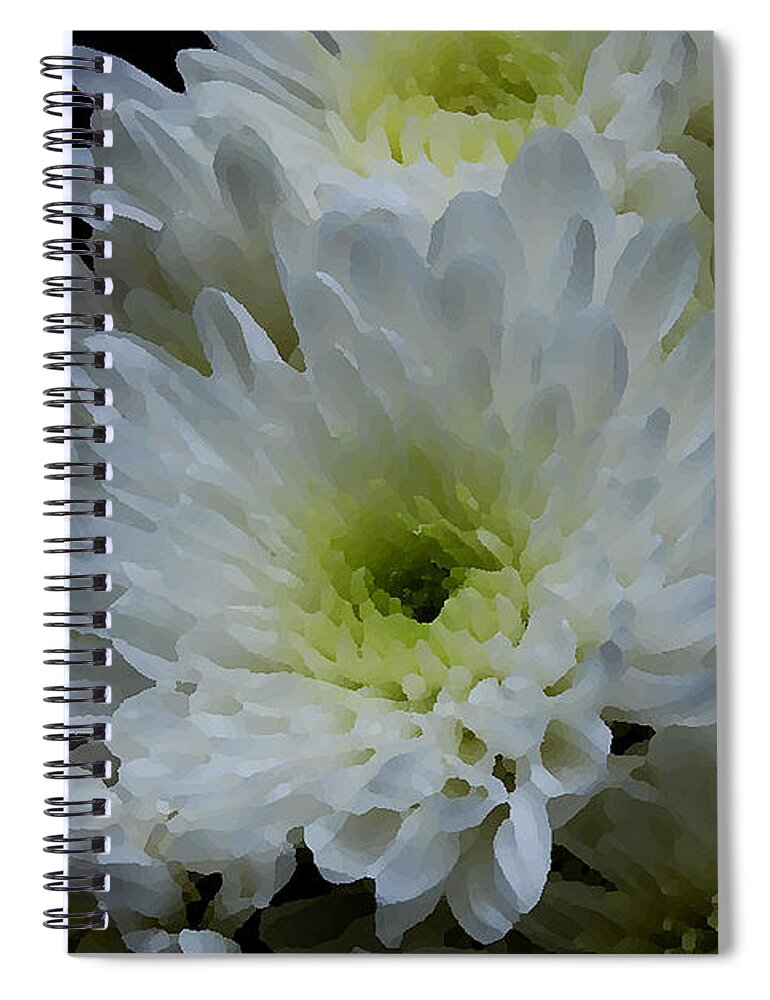 Florida Spiral Notebook featuring the photograph Crisantemos by Lorenzo Cassina