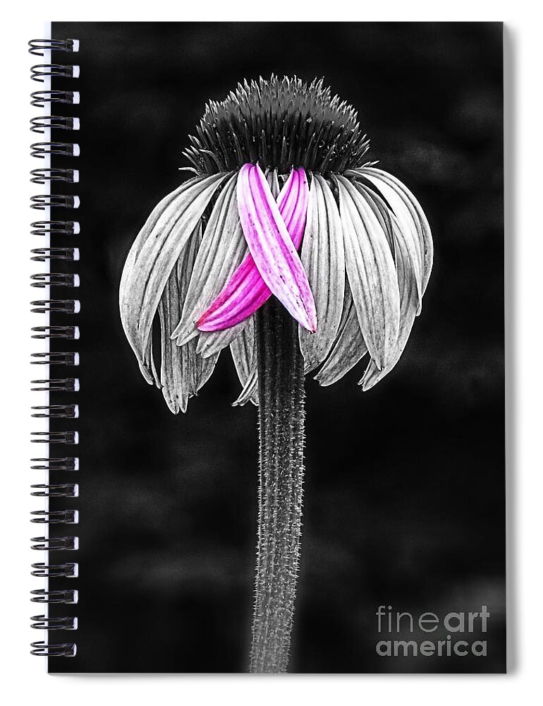 Echinacea Spiral Notebook featuring the photograph Cross My Heart by Sharon Woerner
