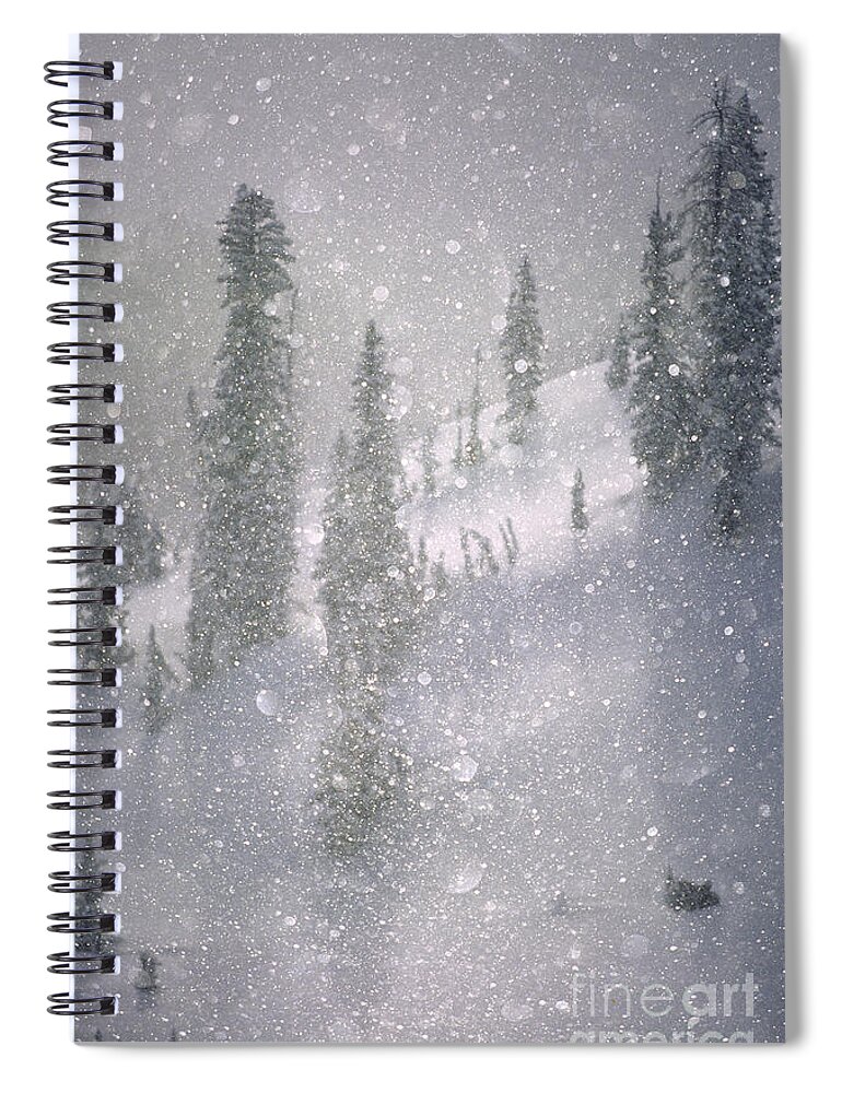 North America Spiral Notebook featuring the photograph Crystalized snowflakes falling while being backlit by the sun by Don Landwehrle