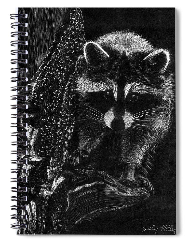 Art Spiral Notebook featuring the drawing Curious Raccoon by Dustin Miller