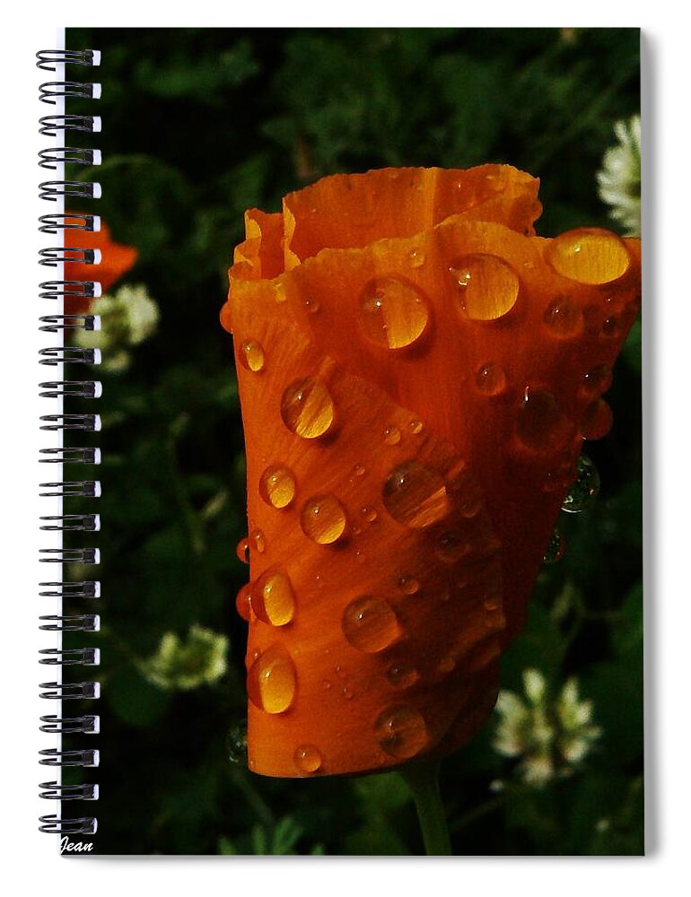 Curled Drops Spiral Notebook featuring the photograph Curled Drops by Barbara St Jean