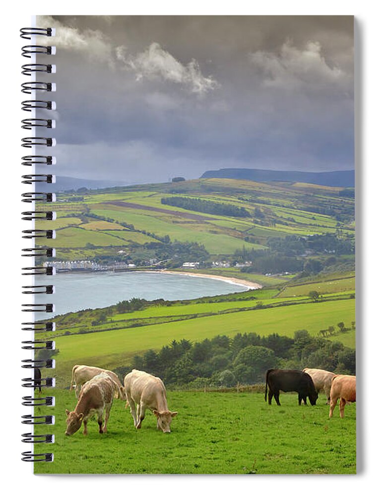 Scenics Spiral Notebook featuring the photograph Cushendun Cattle by Photograph Taken By Alan Hopps