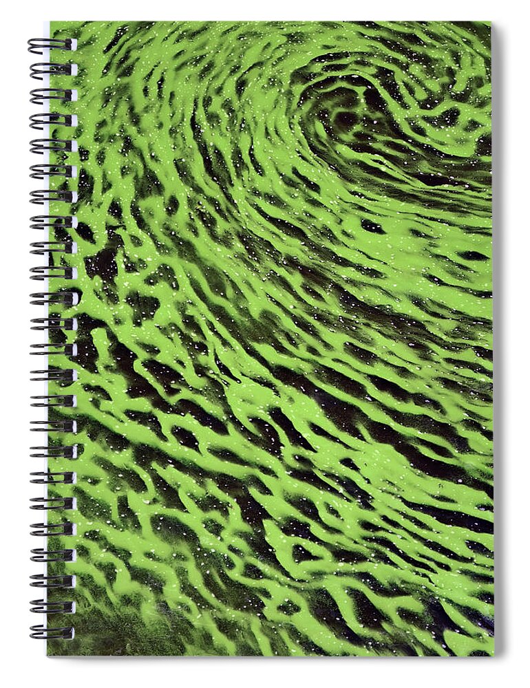 Algae Mats Spiral Notebook featuring the photograph Cyanobacteria Bloom by Charles Angelo