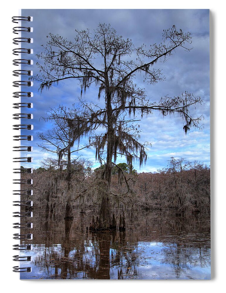 Caddo Lake Spiral Notebook featuring the photograph Cypress Tree by Jonathan Davison