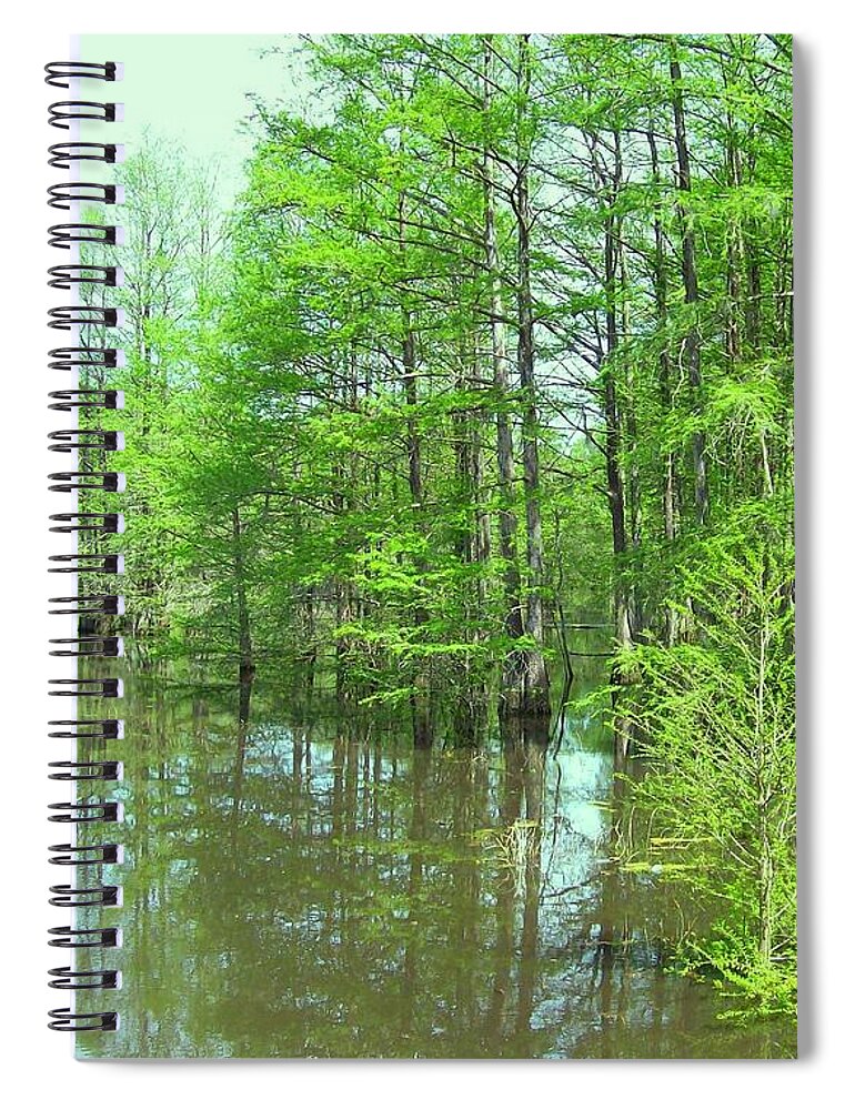 Nature At The Mill Pond Cypress Trees Bass Catfish Water Moccasins And White Tail Deer Spiral Notebook featuring the photograph Bright Green Cypress Trees Reflection by Belinda Lee