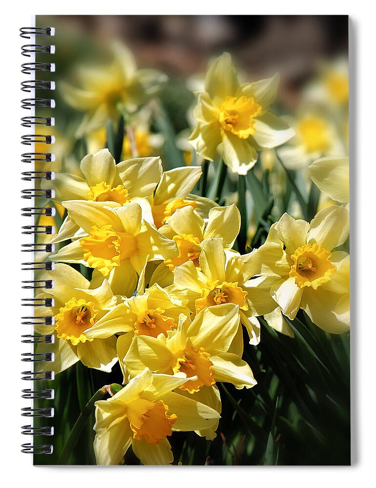Bouquet Of Daffodils Spiral Notebook featuring the photograph Daffodil by Bill Wakeley