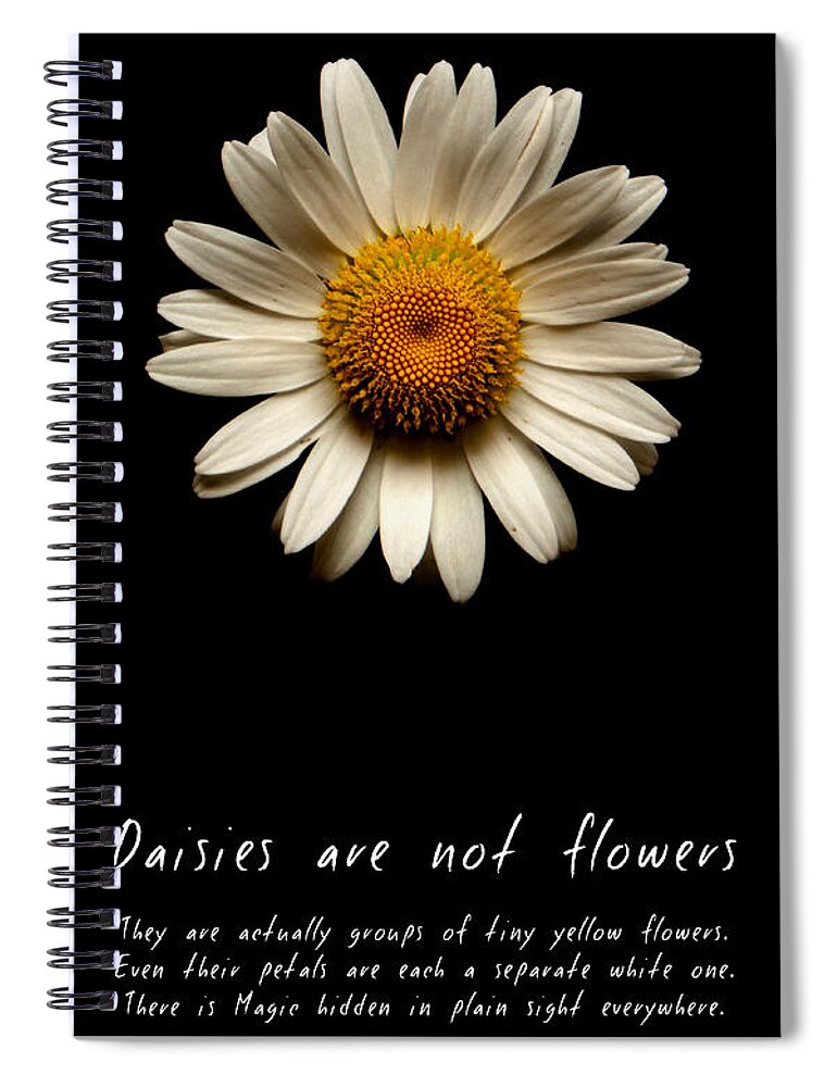 Daisies Are Not Flowers Spiral Notebook featuring the photograph Daisies are not flowers by Weston Westmoreland