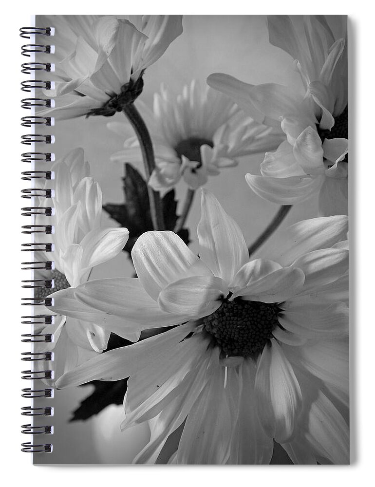 Flowers Spiral Notebook featuring the photograph Daisies I Still Life Flower Art Poster by Lily Malor