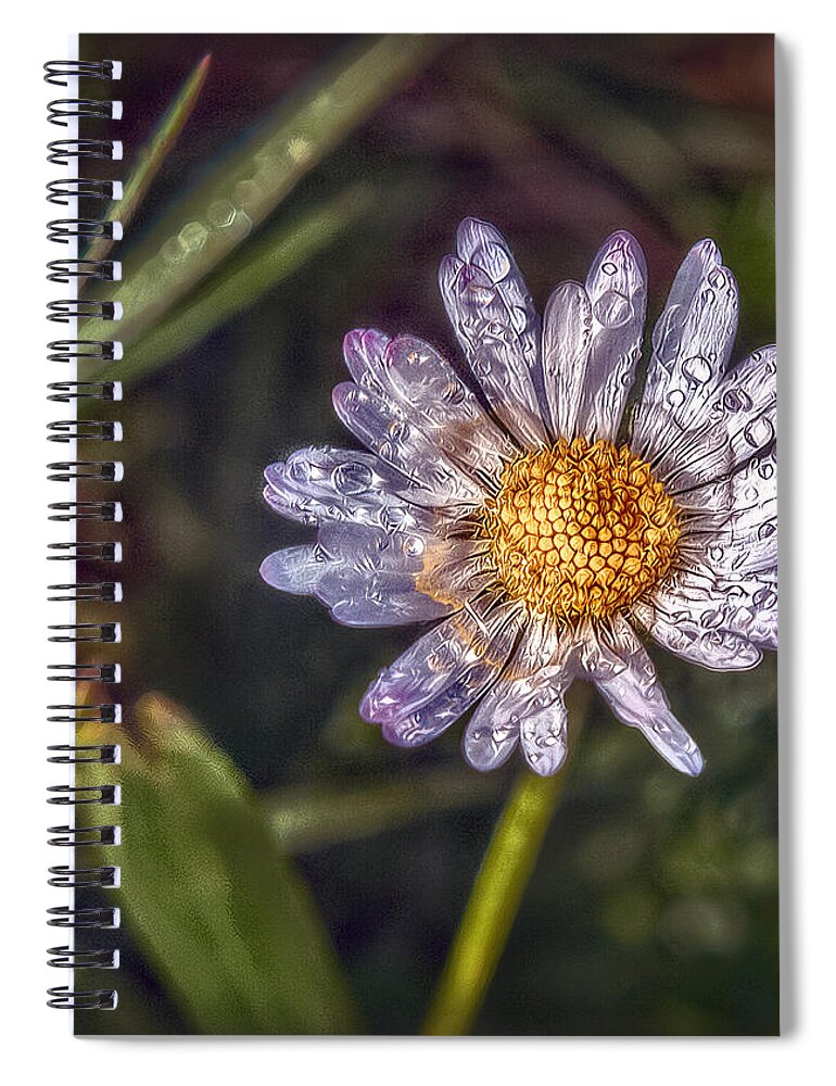 Daisy Spiral Notebook featuring the photograph Daisy by Hanny Heim