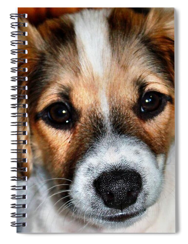 Dog Spiral Notebook featuring the photograph Dakota by Judy Palkimas