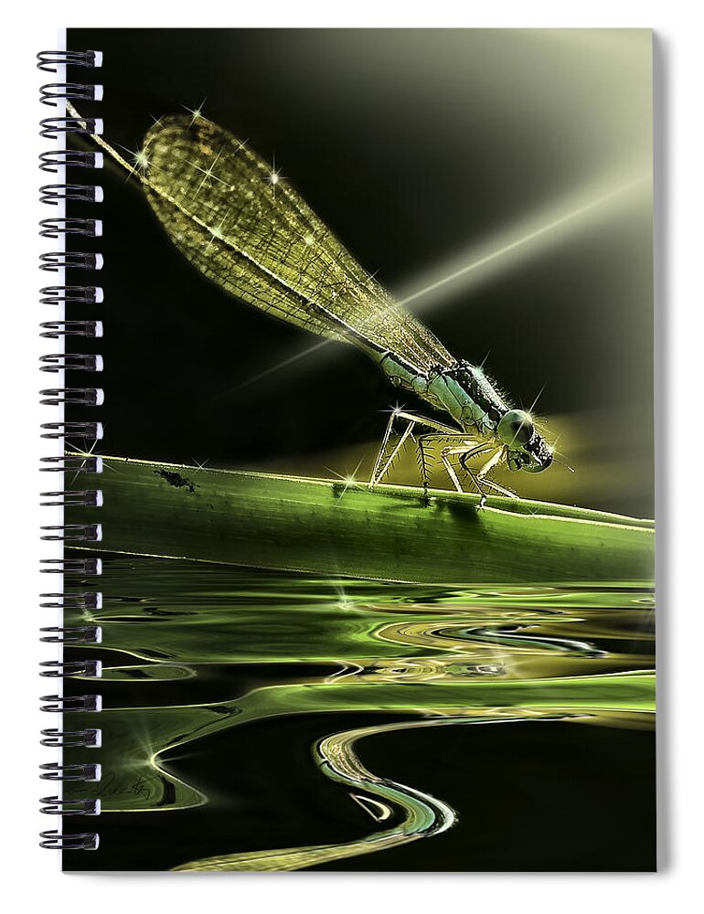 Dragon Fly With Sparkling Reflections Spiral Notebook featuring the photograph Damsel Dragon fly with sparkling reflection by Peter V Quenter
