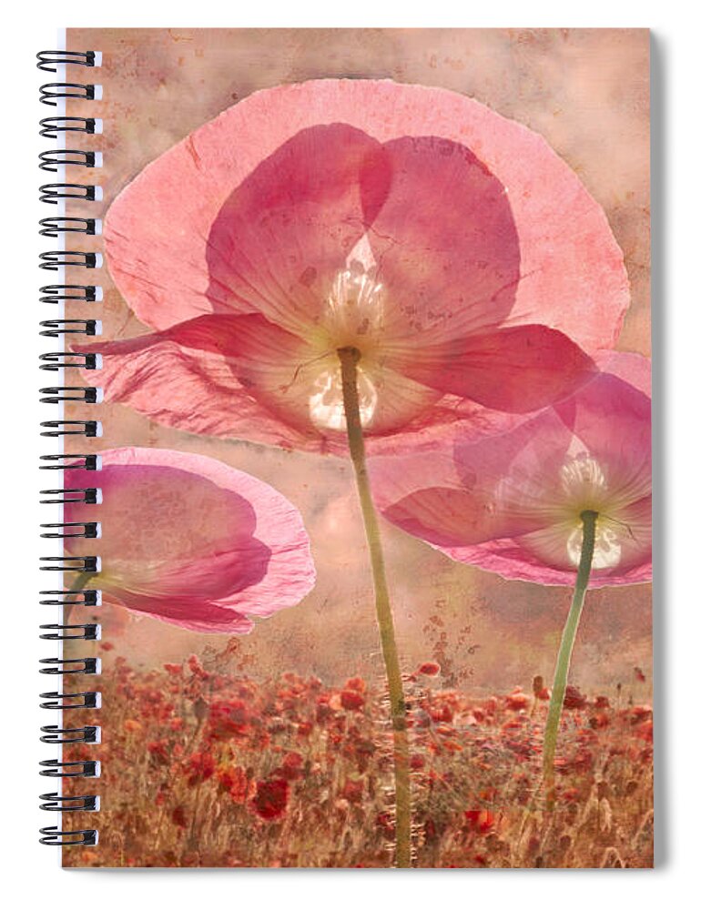 Appalachia Spiral Notebook featuring the photograph Dance of the Fairies by Debra and Dave Vanderlaan