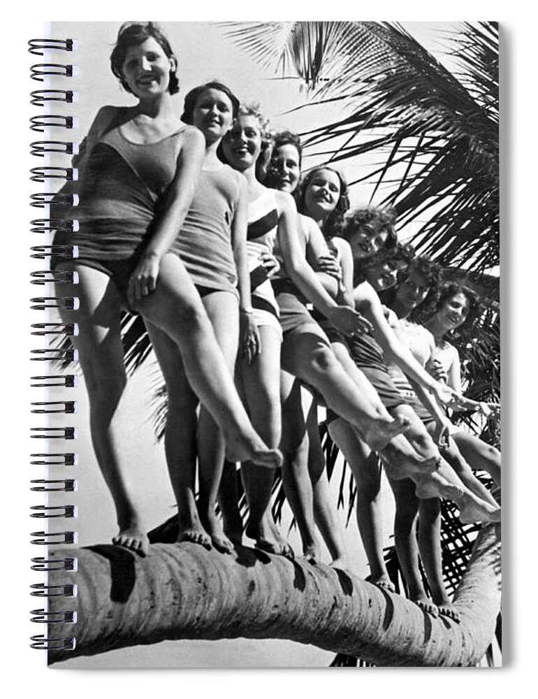 1927 Spiral Notebook featuring the photograph Dancers Practice On Palm Tree by Underwood Archives