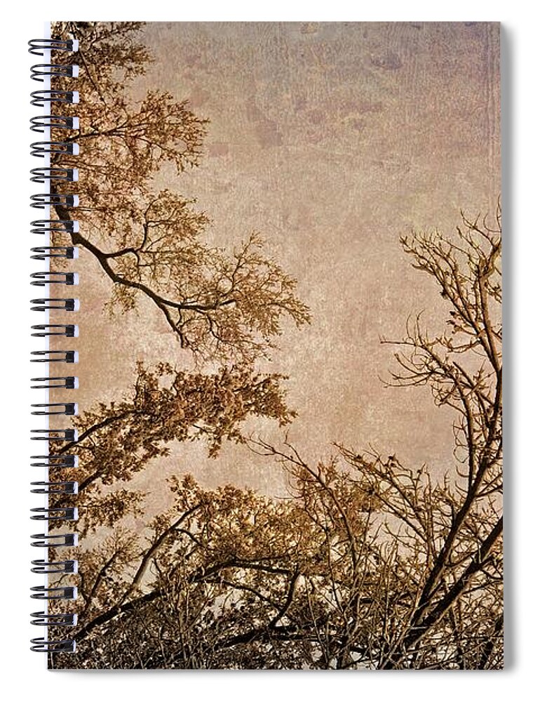 Landscape Spiral Notebook featuring the photograph Dancing Trees by Carol Whaley Addassi