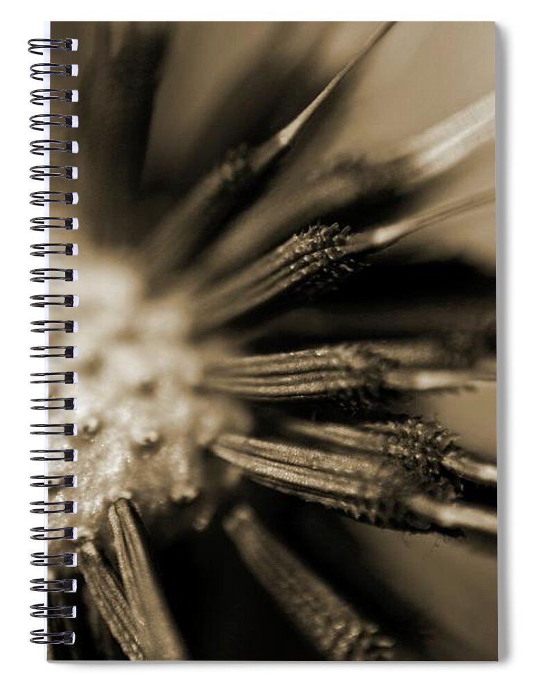 Conceptual Spiral Notebook featuring the photograph Dandelion by Kb White