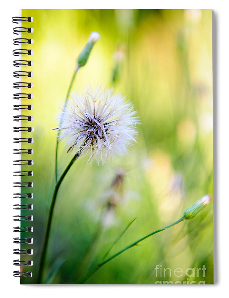 Rt Spiral Notebook featuring the photograph Dandelion Wishes by Charles Dobbs