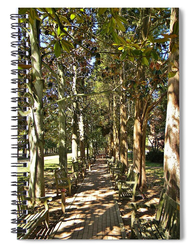 Trees Spiral Notebook featuring the photograph Dappled by Jean Goodwin Brooks