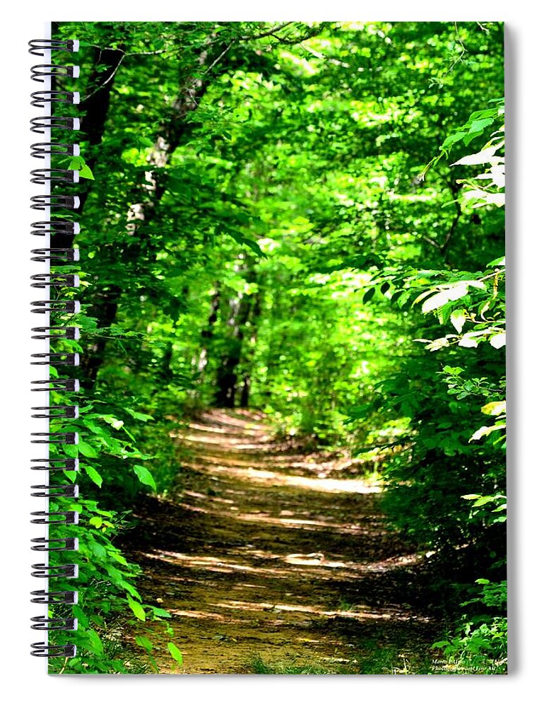 Dappled Sunlit Path In The Forest Spiral Notebook featuring the photograph Dappled Sunlit Path in the Forest by Maria Urso