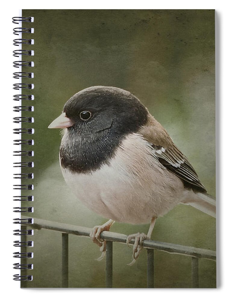Birds Spiral Notebook featuring the photograph Dark-Eyed Junco by Parrish Todd