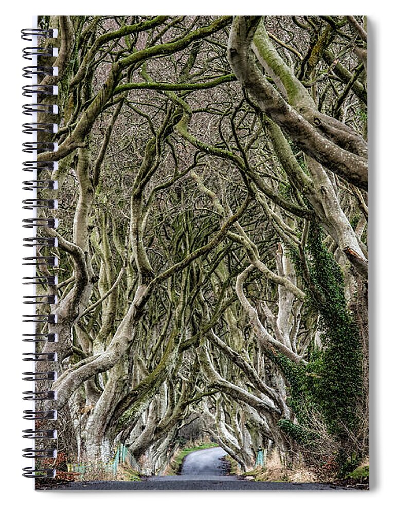 Dark Hedges Spiral Notebook featuring the photograph Dark Hedges by Nigel R Bell