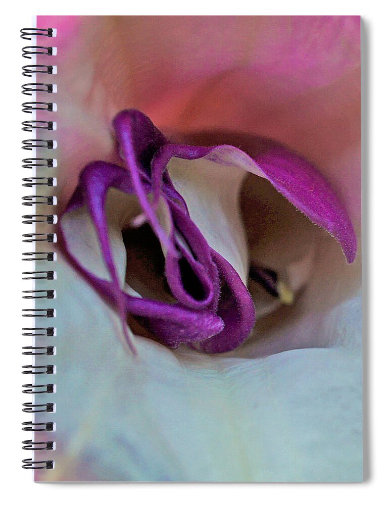 Datura Spiral Notebook featuring the photograph Datura Squared by TK Goforth
